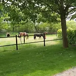 De Slaaperij *