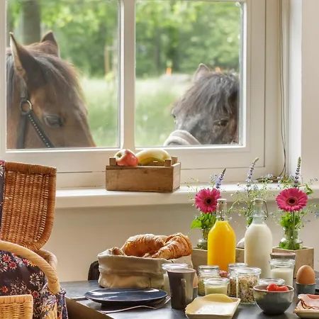 De Slaaperij Vakantiehuis