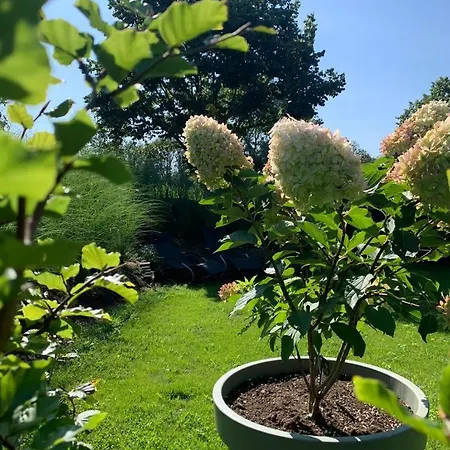 Vakantiehuis De Slaaperij