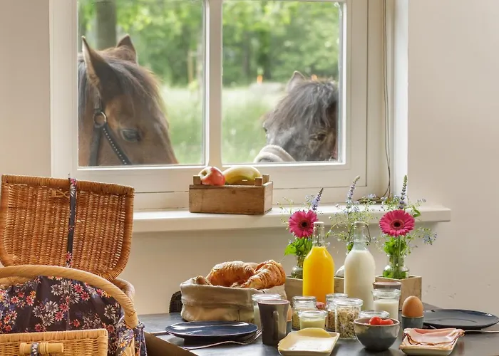 De Slaaperij Dom wakacyjny